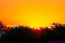 DSC_8413_001.JPG
