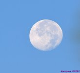 DSC_8428_001.JPG