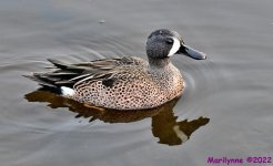 DSC_8558_001.JPG