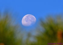 DSC_8595_001.JPG