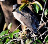 DSC_8645_001.JPG