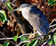 DSC_8651_001.JPG
