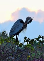 DSC_8669_001.JPG