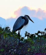DSC_8673_001.JPG