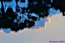 DSC_8683_001.JPG