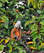 DSC_8685_001.JPG