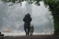 Into the cold2.jpg
