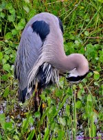 DSC_8694_001.JPG