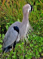 DSC_8704_001.JPG