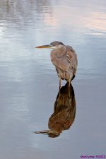 DSC_8718_001_01.JPG
