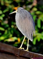 DSC_8734_001.JPG