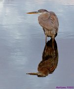 DSC_8712_stitch3_001.JPG