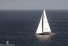 America Cup Sail Boat.jpg