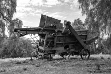 Bean Picker.jpg