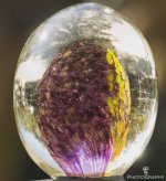 Crystalball.jpg