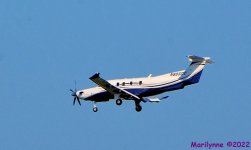 DSC_9828_001.JPG