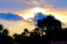 DSC_8909_001.JPG