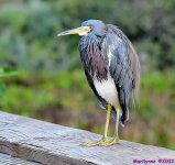 DSC_8911_001.JPG