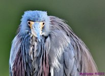 DSC_8916_001.JPG