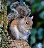 DSC_8965_001.JPG