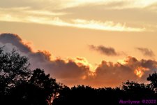 DSC_9012_001.JPG