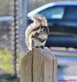 DSC_9070_001.JPG