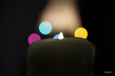 Candle and tree.jpg