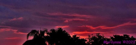 DSC_9853_001.JPG