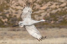 SandhillBank-502.jpg