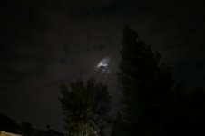 2022-12-28_18-50-32s.jpg