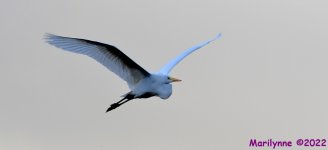 DSC_9198_001.JPG