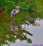 DSC_5961_001.JPG