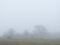 IMG_1392 low res.jpg