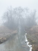 IMG_1399 low res.jpg