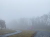 IMG_1418 low res.jpg