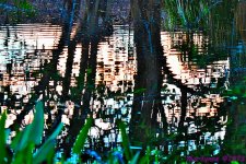 DSC_9211_001.JPG