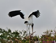 DSC_9221_001.JPG