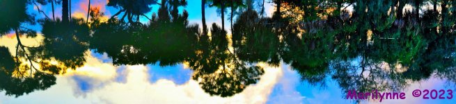 DSC_9229_stitch7_001_01.JPG