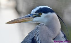DSC_9249_001.JPG