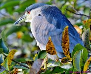 DSC_9309_001.JPG