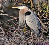 DSC_9703_001.JPG