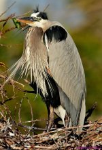 DSC_9711_001.JPG