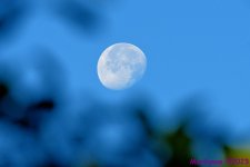 DSC_9899_001.JPG