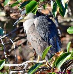 DSC_9975_001.JPG