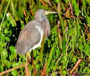 DSC_0009_001.JPG