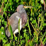 DSC_0013_001.JPG