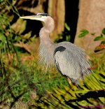 DSC_0016_001.JPG