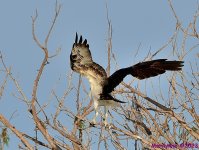 DSC_0028_001.JPG