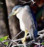 DSC_0045_001_01.JPG