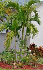 DSC_0102_stitch_001.JPG